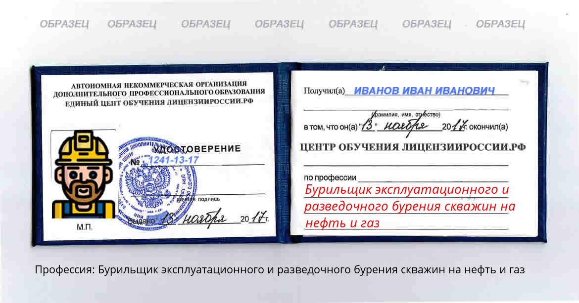 Бурильщик эксплуатационного и разведочного бурения скважин на нефть и газ Новомичуринск